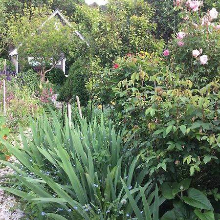 Hahei Kereru Cottage エクステリア 写真
